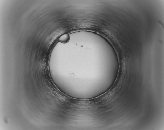 X0000100871210200807071054