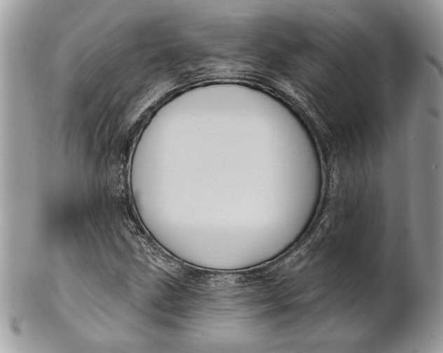 X0000100871211200807071054