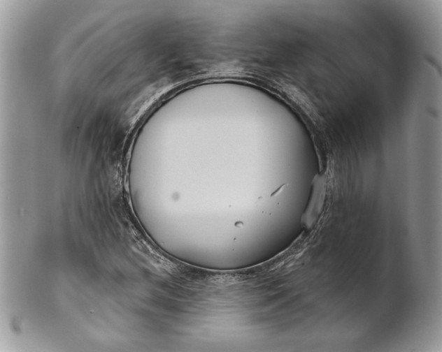 X0000100871212200807071054