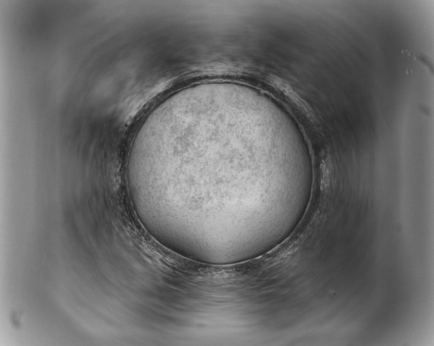 X0000100871213200807071054