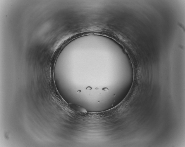 X0000100871214200807071054