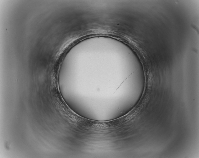 X0000100871215200807071054