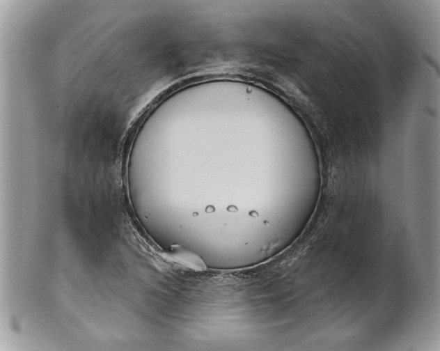 X0000100871216200807071054