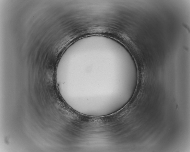 X0000100871217200807071054