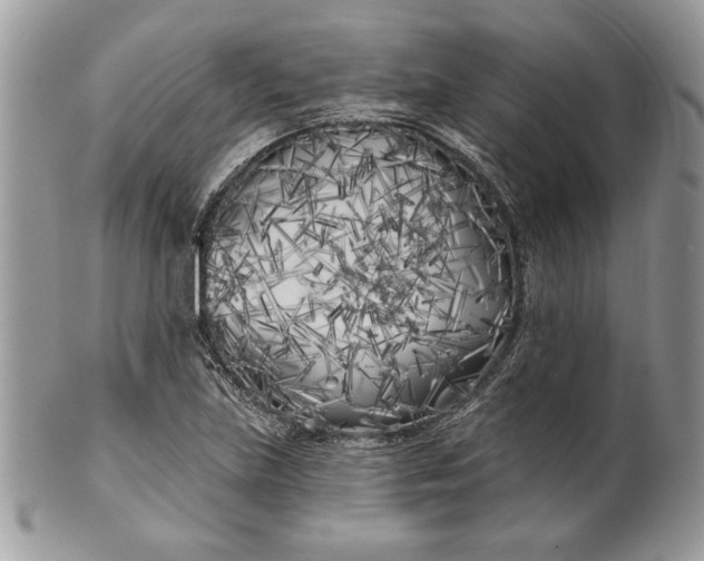 X0000100871219200807071054