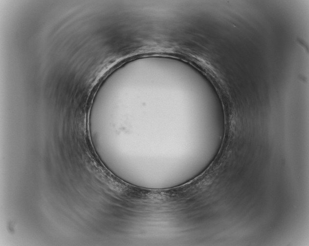 X0000100871220200807071054