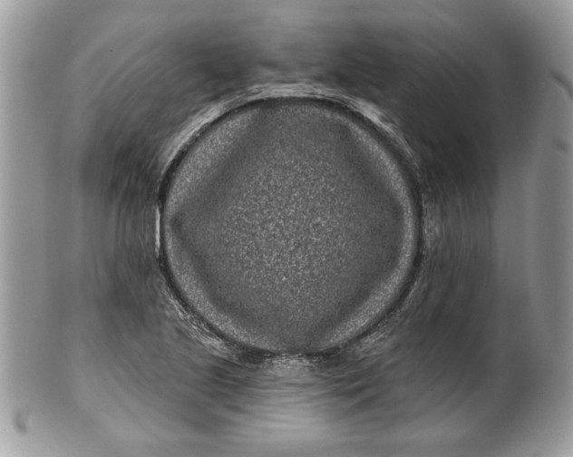 X0000100871221200807071054