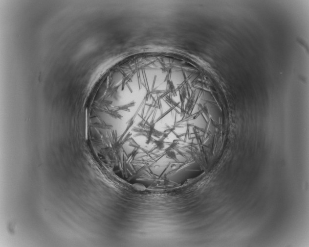 X0000100871223200807071054