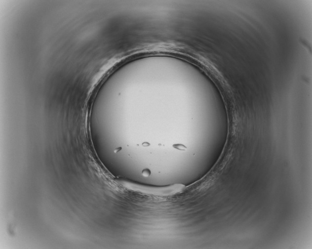 X0000100871224200807071054