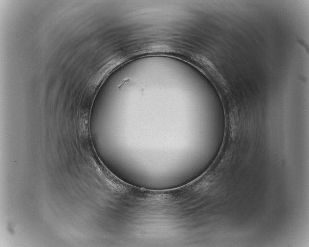 X0000100871225200807071054