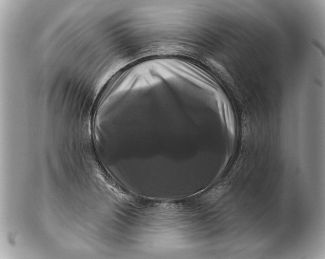 X0000100871226200807071054