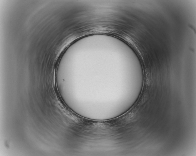 X0000100871227200807071054