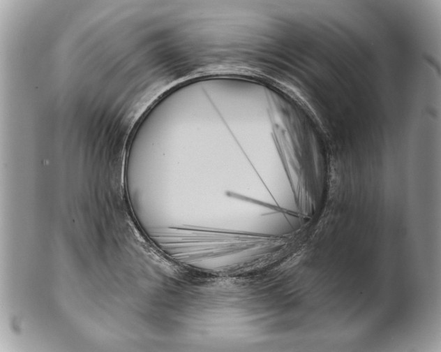 X0000100871228200807071054