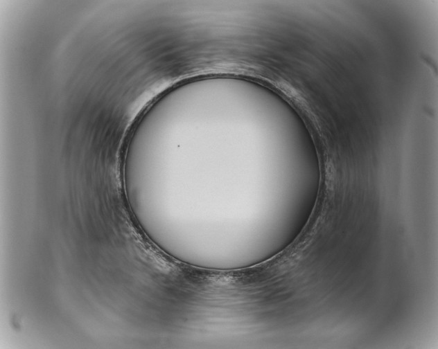 X0000100871230200807071054