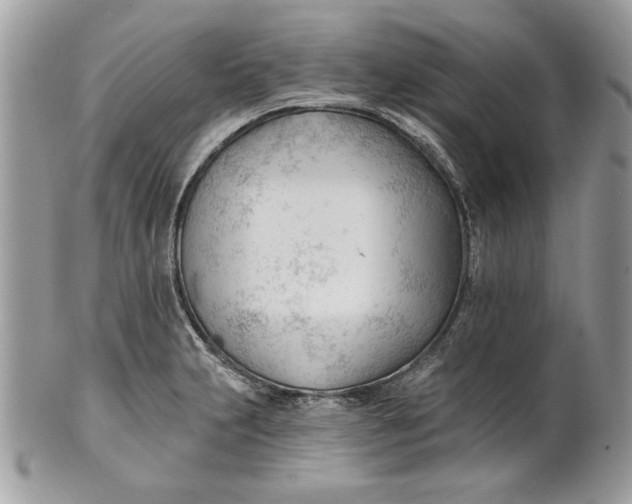 X0000100871231200807071054