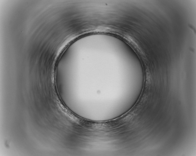 X0000100871232200807071054