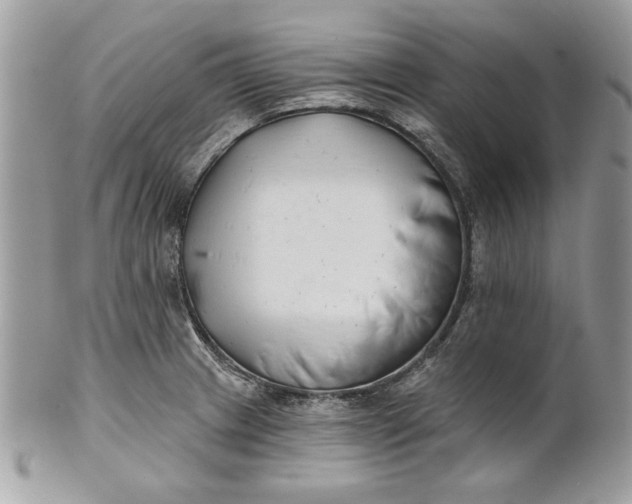 X0000100871233200807071054