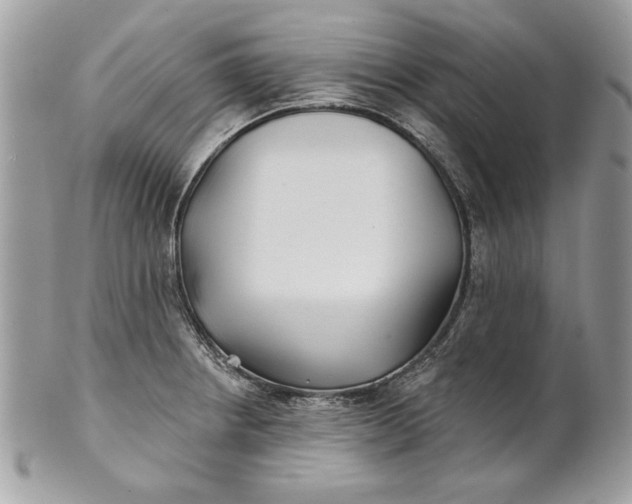 X0000100871234200807071054