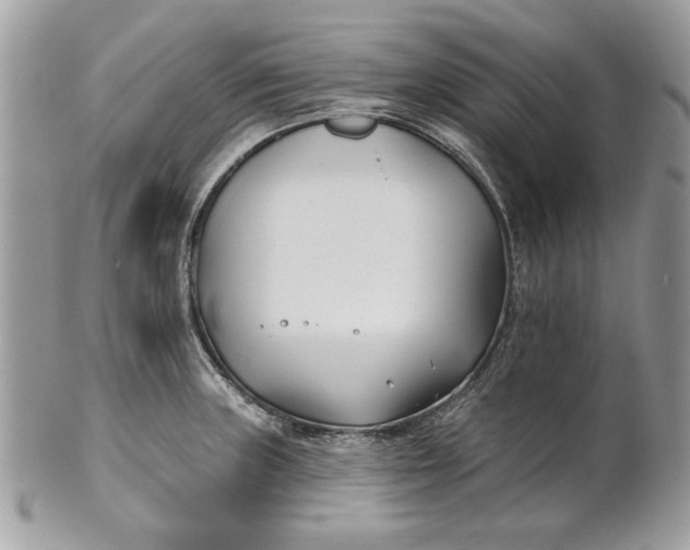 X0000100871235200807071054