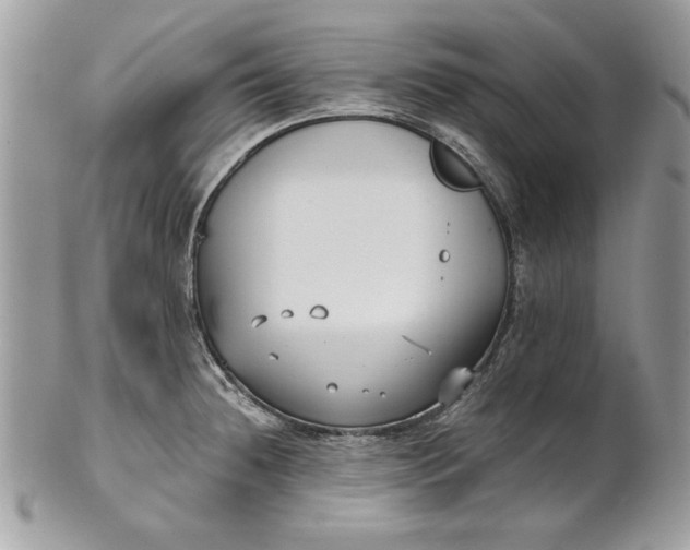 X0000100871236200807071054