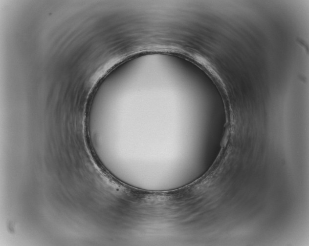 X0000100871237200807071054