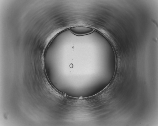 X0000100871238200807071054