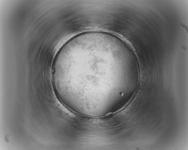 X0000100871239200807071054