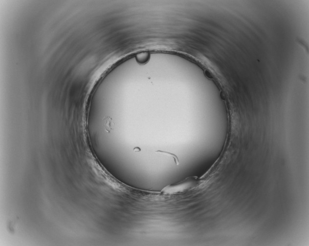 X0000100871240200807071054