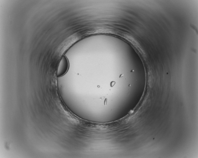 X0000100871241200807071054