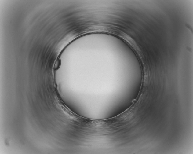 X0000100871242200807071054