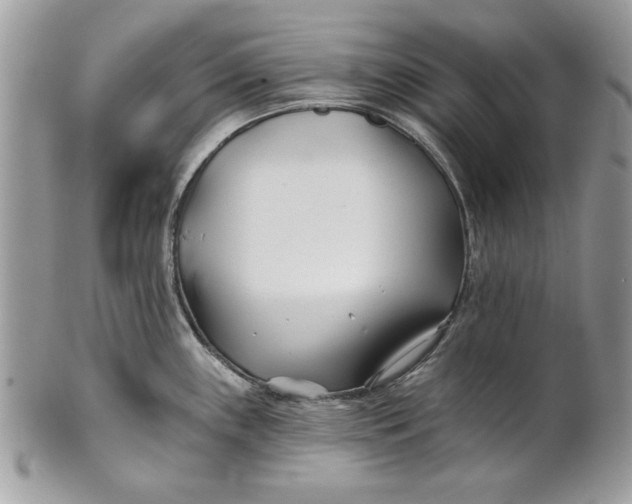 X0000100871243200807071054