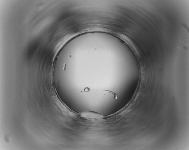 X0000100871244200807071054