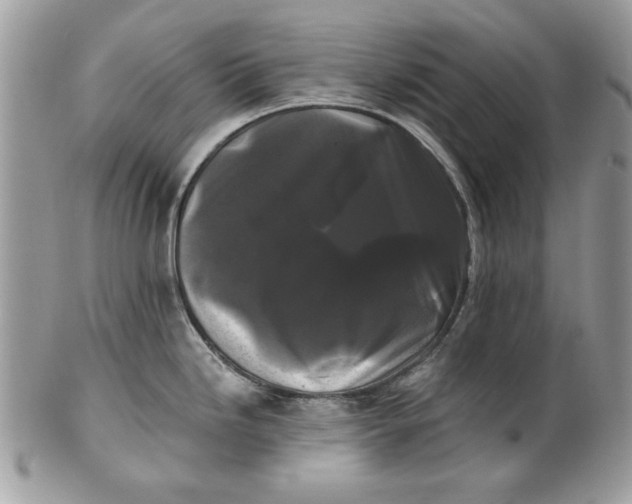 X0000100871246200807071054