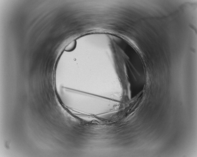 X0000100871247200807071054