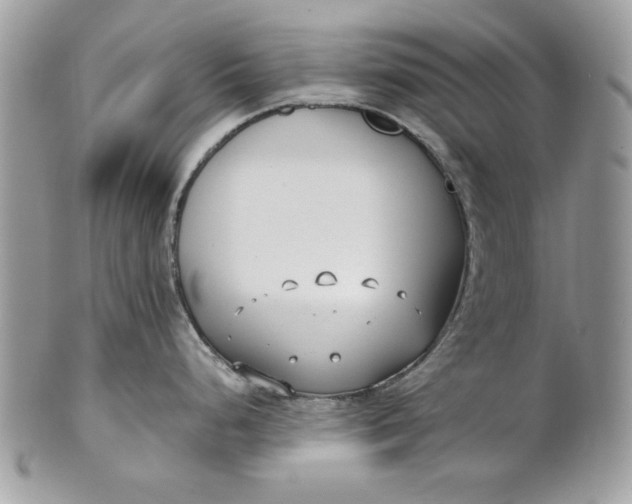 X0000100871248200807071054