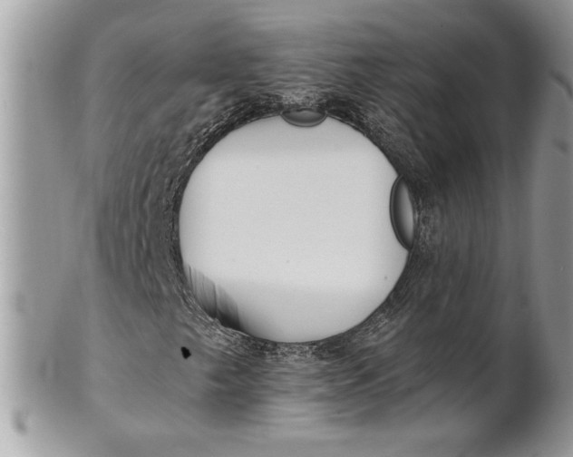 X0000100871249200807071054