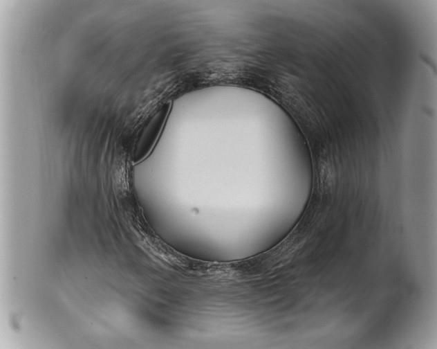 X0000100871250200807071054