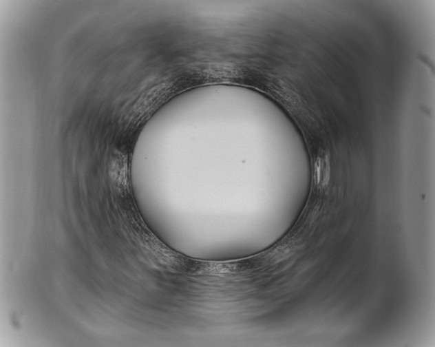 X0000100871251200807071054