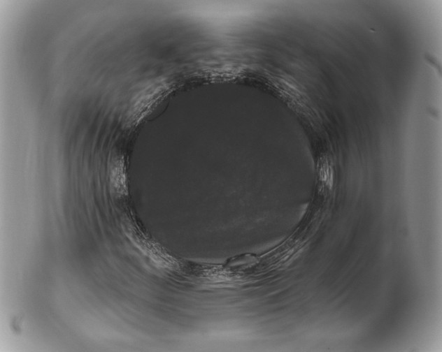 X0000100871252200807071054