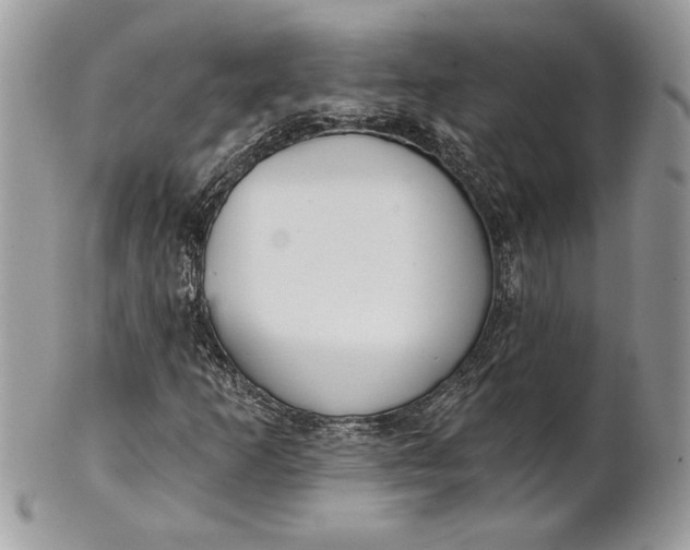 X0000100871253200807071054