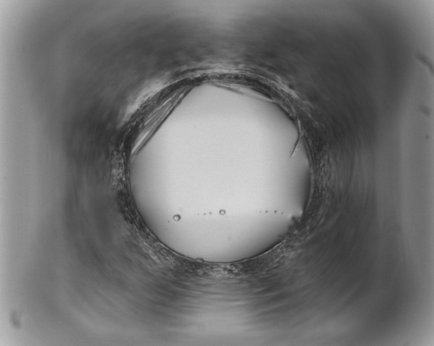 X0000100871255200807071054