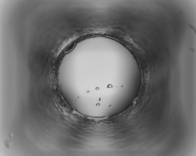 X0000100871256200807071054