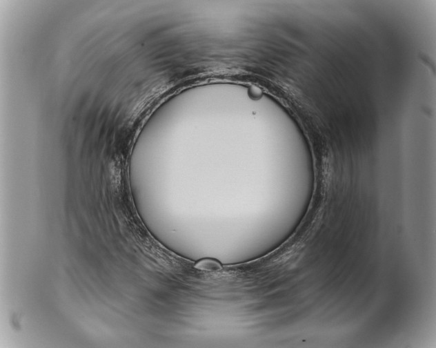 X0000100871257200807071054