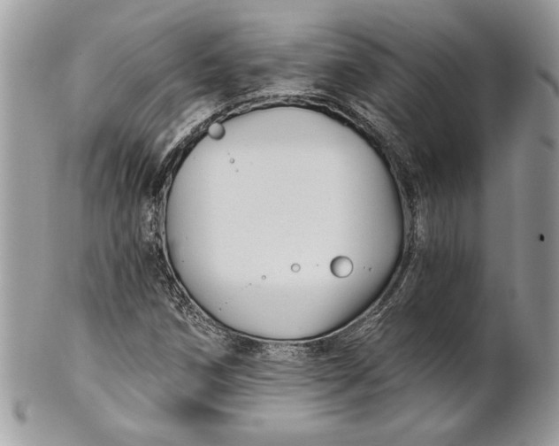 X0000100871258200807071054