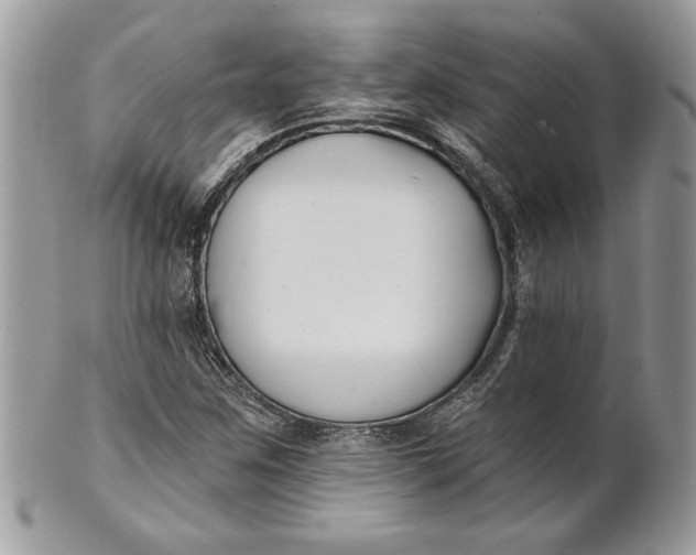 X0000100871259200807071054