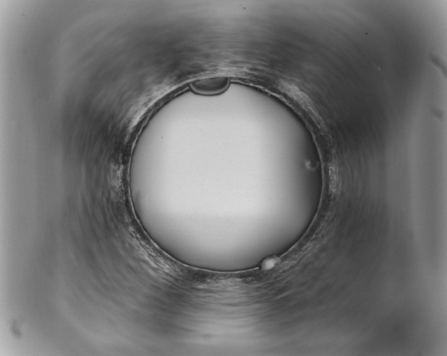 X0000100871260200807071054