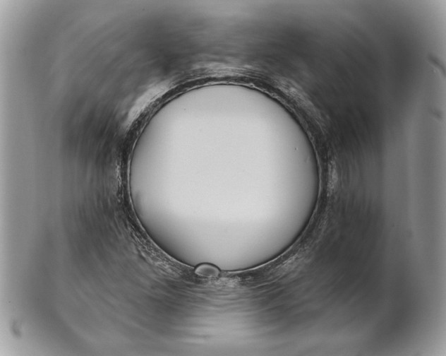 X0000100871261200807071054