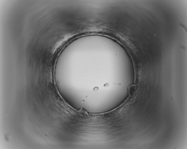 X0000100871262200807071054