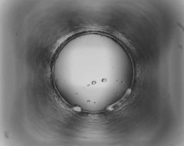 X0000100871264200807071054