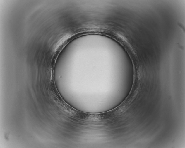 X0000100871267200807071054